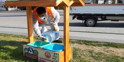 Samsun'da 19 Mayıs Belediyesi sokak hayvanlarını unutmadı