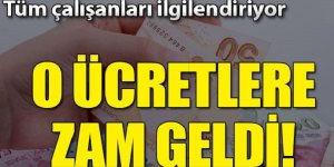 Tüm çalışanları ilgilendiriyor o ücretlere zam geldi!