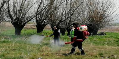 Pursaklar Belediyesi yaz öncesi ilaçlama