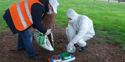 Samsun'da Sokak hayvanları unutulmadı