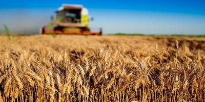 Ayşegül Selışık: Gıda sistemindeki en ufak aksama tüm sistemi etkiliyor