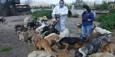 Sakarya İl Emniyet Müdürü Fatih Kaya sokak hayvanlarına mama gönderdi