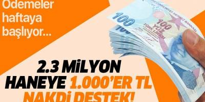 1.000’er TL nakdi destek! Ödemeler haftaya başlıyor...