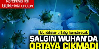 Bu iddialar ortalığı karıştıracak Salgın Wuhan'da ortaya çıkmadı