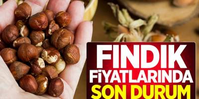 19 Nisan merakla beklenen güncel fındık fiyatları