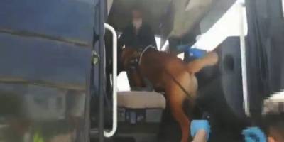 Batman'da Seyahat izin belgeli tırdan uyuşturucu çıktı