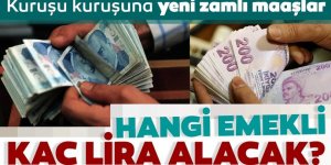 Kuruşu kuruşuna yeni zam maaşlar! Emekli ve memur yeni maaşları ve farkları
