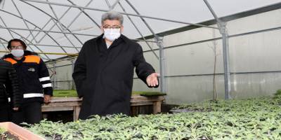 Van Valisi Mehmet Emin Bilmez seralarda incelemelerde bulundu