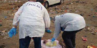 Van Gölü'nde 200 ton çöp toplandı