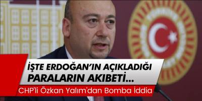 Özkan Yalım'dan bomba iddia... İşte Erdoğan'ın açıkladığı paraların akıbeti!
