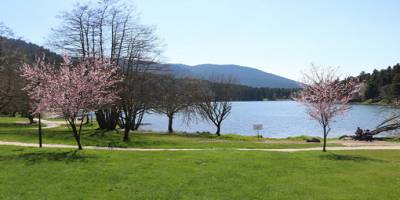 Bolu’da Gölcük Tabiat Parkı sessizliğe büründü