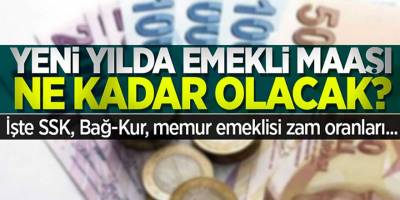 2020 Emekli maaşı zam oranları belli oluyor! Emeklilerin Ocak zam mı kaç TL olacak?