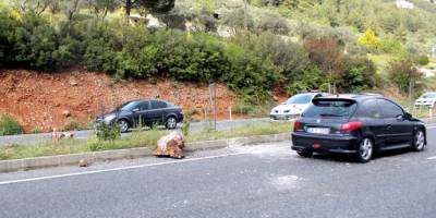 Muğla'da yola düşen kaya parçasından şans eseri kurtuldular