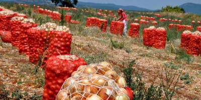 Esgin'den Bakan Pakdemirli'ye soğan ihracatı teşekkürü
