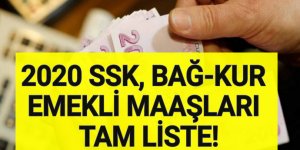 2020 SSK, Bağkur Emekli Maaşları Ne Kadar Oldu? Kuruş Kuruş Tam Liste