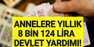 Anneler 2020'de 8 Bin 124 Lira Devlet Yardımı
