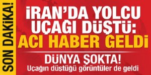 Son Dakika: Dünya şokta: İran'da yolcu uçağı düştü: Kurtulan olmadı! Düşme anı