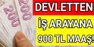 Devletten İş Arayana 900 TL Maaş!