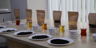 Beyaz Çay tahtını 'Ballı Altın Çay’a kaptırdı!