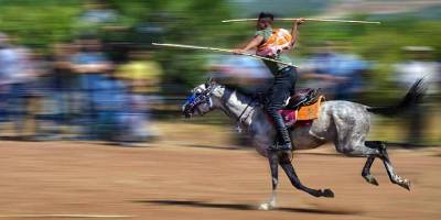 Atlı cirit sporunun atları Manisa'nın Selendi ilçesinde yarışlar için özenle hazırlanıyor