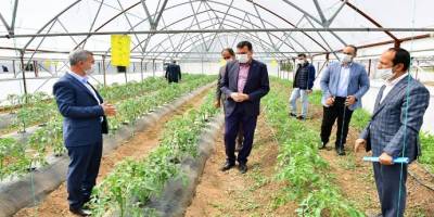 Malatya Yeşilyurt’ta Meyve Kurutma ve Kükürtleme Tesisi kurulacak