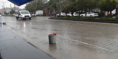 Bitlis Ahlat’ta şiddetli yağış etkili oldu