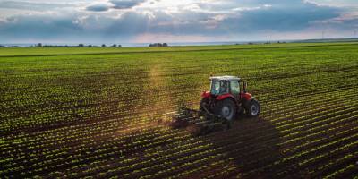 Şükrü Karataş: “Pandemi sürecinde gıda ve tarıma azami önem verilmeli”