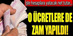 Dul ve yetim maaşı 2020'de ne kadar arttı?