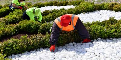 Ankara Büyükşehir Belediyesinden kuru peyzaj