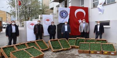 Bayburt’ta çiftçilere toplam 80 bin fide dağıtılacak