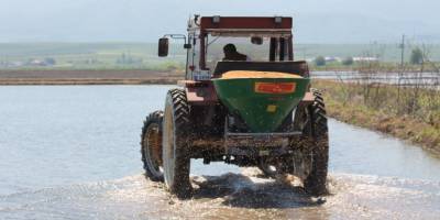 Balıkesir Manyas ilçesinde çeltik ekimlerine başlandı