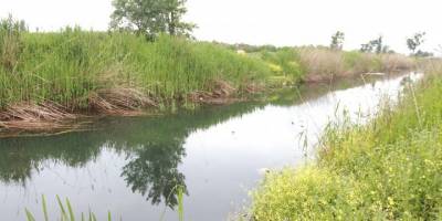 Doğa kendini temizledi! Tüm sanayi kuruluşları bu kente karşı sorumlu