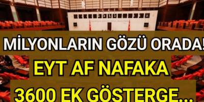 15 Ocak EYT, sözleşmeli personel kadro, taşeron, af, nafaka, 3600 ek gösterge yasası çıktı mı, son durum nedir?