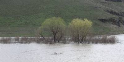 Karın erimesi ve yağmurun etkisi ile Kars Çay'ı taştı