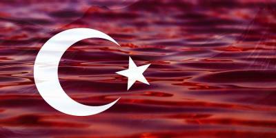 Tekirdağ’ın Saray İlçesinde Türk Bayrağını indiren zanlı yakalandı