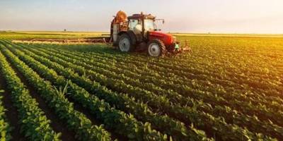 Çiftçi, hem üzümünden hem de pekmezinden gelir sağlıyor