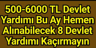 500-6000 TL Devlet Yardımı Bu Ay Hemen Alınabilecek 8 Devlet Yardımı Kaçırmayın