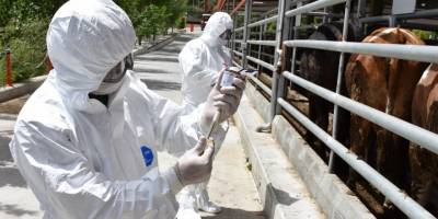 Manisa İl Tarım ve Orman Müdürlüğü ekipleri hayvan sağlığı için seferber oldu