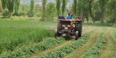 Kütahya Simav Yonca üreticileri hasattan umutlu