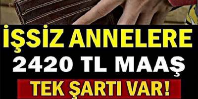 İşsiz Annelere  Devletten Müjde! 2 Bin 420 Lira Destek... İşte Detaylar ve Şartlar