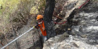 Manavgat'ta Kara yolunda yumurta pişiren şahıs orman yangını çıkardı!