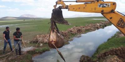 Van'da Beli kırılan inek iş makinesi düştüğü çaydan çıkarıldı
