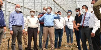 Muğla Milas'a ilk muz fidanı törenle dikildi