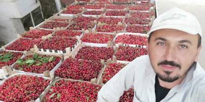 Bursa'nın Karabodur kirazı kilosu 10 liradan satılmaya başlandı