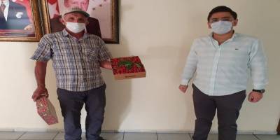 Kütahya Şaraphane'de ’Erkenci kiraz'' hasadı başladı