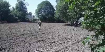 Siirt'te çiftçiler getirisi yüksek olan susam ekimine başladı