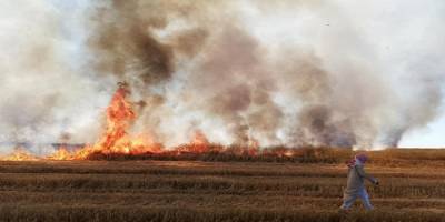Şam'da YPG/PKK Deyrizor’da sivillerin tarım arazilerini yaktı