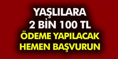 Büyük Müjde Emekli Olamayana 2 bin 100 TL Ödeme verilecek! Hemen başvuru yapın!