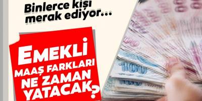 2020 Memur ve Emekli maaş farkları ne zaman yatacak? SGK emekli maaşı sorgulama ekranı