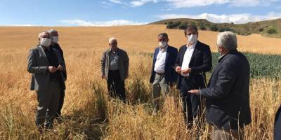 Adıyaman kahta'da Milletvekili Tutdere: “Dolu yağan yerler afet bölgesi ilan edilsin”